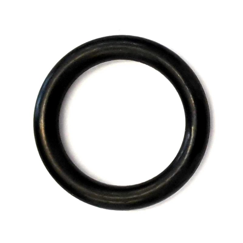 O Ring VITON 16 9x2 7 FPM75 R13 BLACK